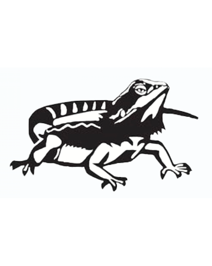 Bearded dragon deals car decal